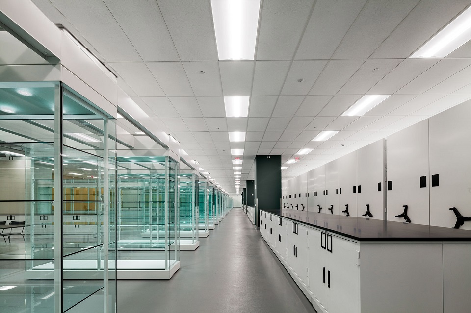 custom-museum-cabinets-compactors.jpg